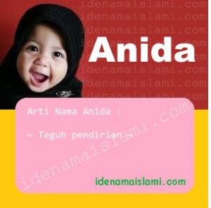 arti nama Anida