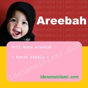 Arti Islami Nama Bayi Perempuan Islam Areebah arti nama Areebah