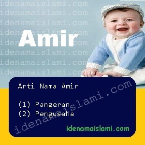 arti nama amir