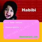 Arti Nama Habibi