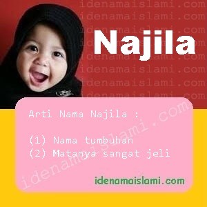 arti nama Najila