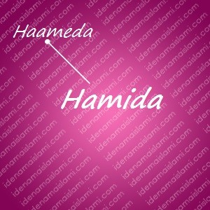 variasi arti nama Hamida untuk nama bayi perempuan islami