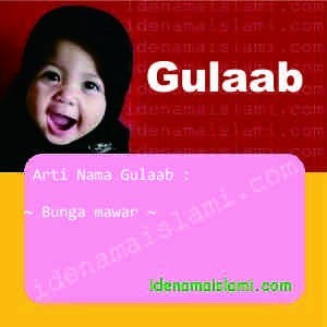 Arti Islami Nama Bayi Perempuan Islam Gulaab Arti Nama Gulaab