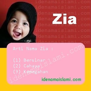 arti nama Zia