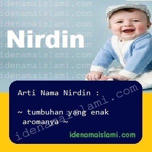 Arti Islami Nama Bayi Laki Laki Islam Nirdin arti nama Nirdin