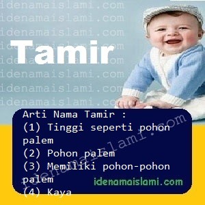 arti nama Tamir
