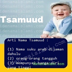 Arti Islami Nama Bayi Laki Laki Islam Tsamuud arti nama Tsamuud