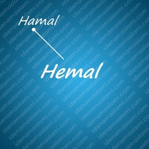 Variasi Nama Hemal Untuk Nama Bayi Laki Laki Islami variasi arti nama Hemal untuk nama bayi laki laki islami