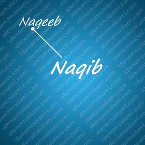 Variasi Nama Naqib Untuk Nama Bayi Laki Laki Islami variasi arti nama Naqib untuk nama bayi laki laki islami